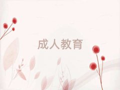ѻhW܇kʲô