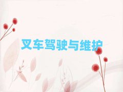 (jin)(yng)W(xu)܇(ch)ʮ