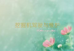2018̰̌^(q)ھC(j)Ӗ(xn)M(fi)Ƕ