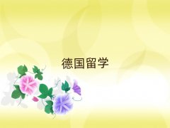 oa簲^(q)W(xu)нǰʮ