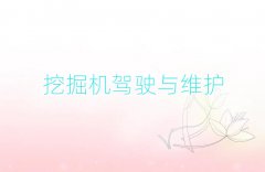 ^(q)ھC2024괺Ӗ(xn)