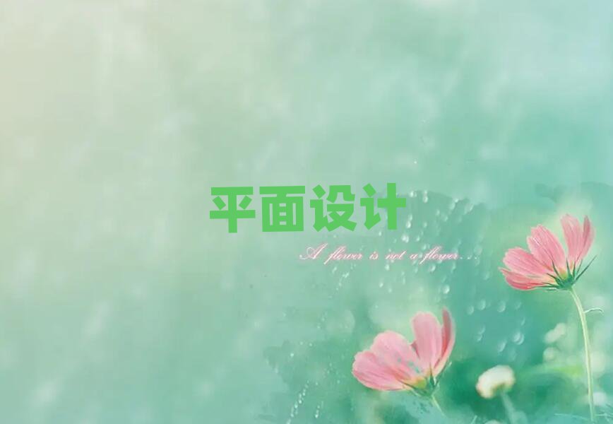 2019ό|·W(xu)(x)PhotoShopȫӖ(xn)ČW(xu)У