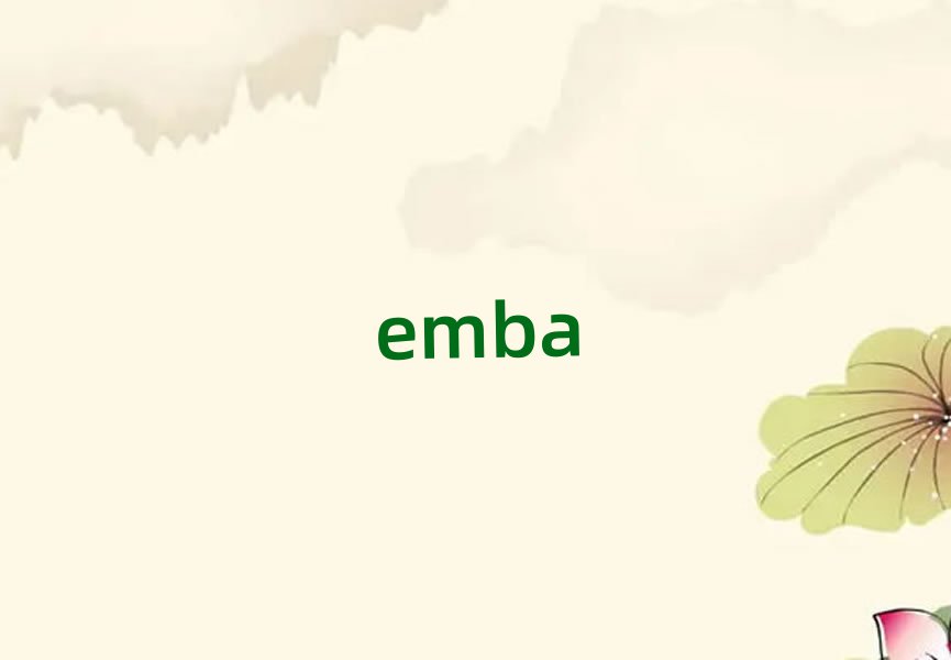 ƽ^(q)һһEMBA