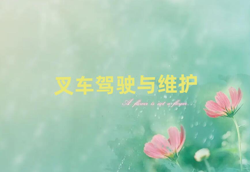 2019꺆P܇CI(y)Ӗ(xn)W(xu)У