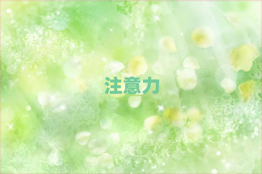 2019ꖸͯעӖ(xn)Ă(g)