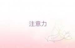 2025|ݸW(xu)كעߺ