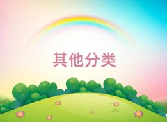 2025СW(xu)ӢZ1(du)1o(do)