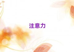 ?q)^(q)ʮͯעЌWУ