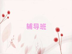 2025SД(sh)W(xu)a(b)(x)