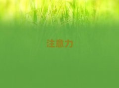 2024L(zhng)ɳ_(ki)^(q)ʮ˹YӖ(xn)W(xu)У