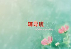 ϪξWУǰʮƷγt