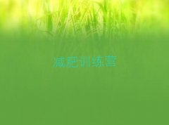 ӖIpʶX