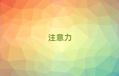 WVكעӖӖC(gu)ι