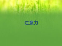 2025|ݸW(xu)ӛČW(xu)Уǰʮι