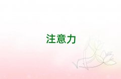 ɽӜͨӖ(xn)W(xu)Уļҏ(qing)xγt