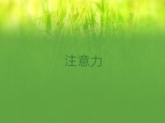 2024ɽӖ(xn)]xγt