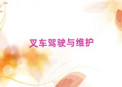 PݏV^(q)иӖʮxγt