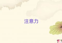 K݌W(xu)˹YӖ(xn)ČW(xu)Уǰʮxγt
