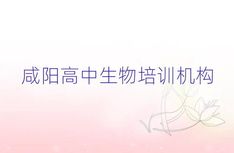 2024ꖾϸӖ