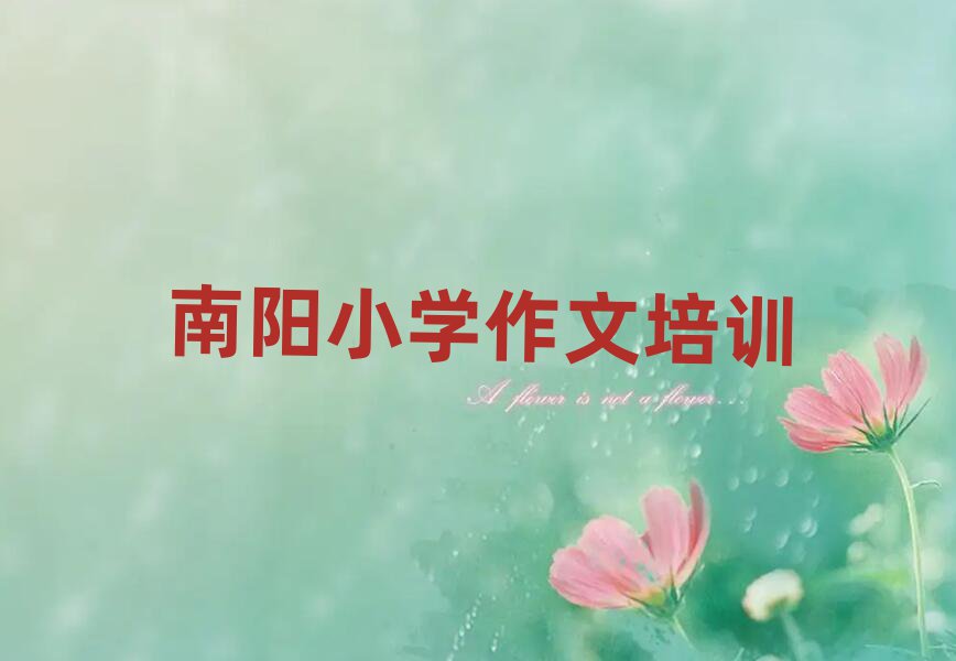 11(yng)ЌW(xu)СW(xu)ΰ׾xt