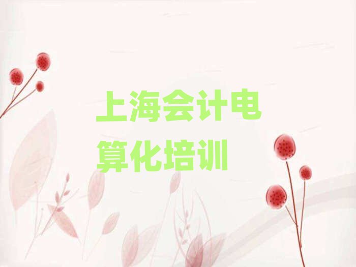 上海天目西路好點(diǎn)的會計電算化培訓(xùn)機(jī)構(gòu)
