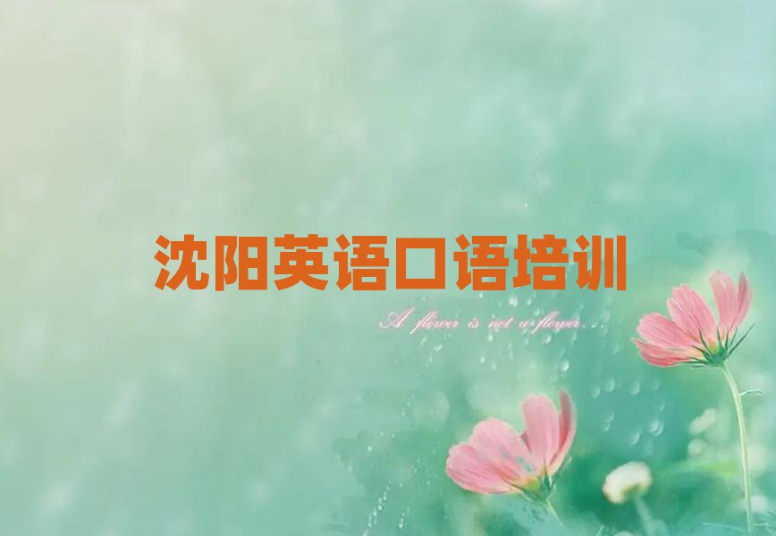 沈陽大東區(qū)英語口語培訓(xùn)班