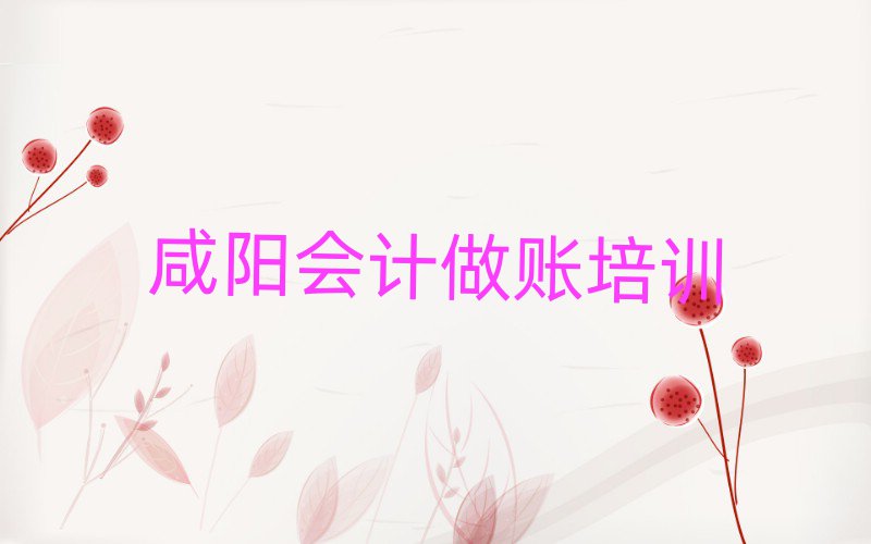 考咸陽(yáng)會(huì)計(jì)做賬比較好的學(xué)校