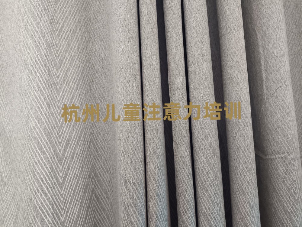 杭州濱江區(qū)有沒(méi)有兒童注意力訓(xùn)練培訓(xùn)學(xué)校排名top10