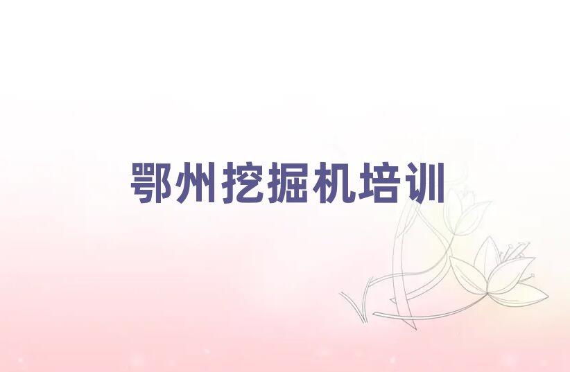 A݅^(q)ھCӖ(xn)W(xu)У