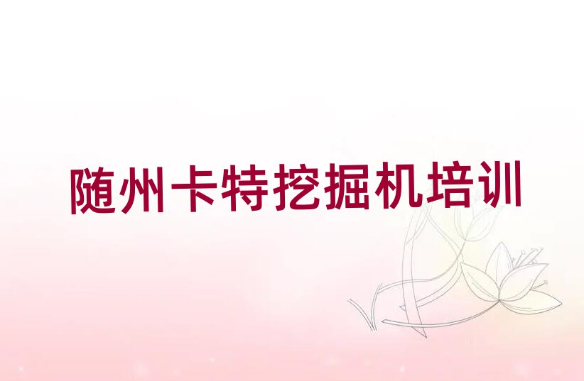 2SݏVˮĂ(g)ھC(j)W(xu)Уʮ
