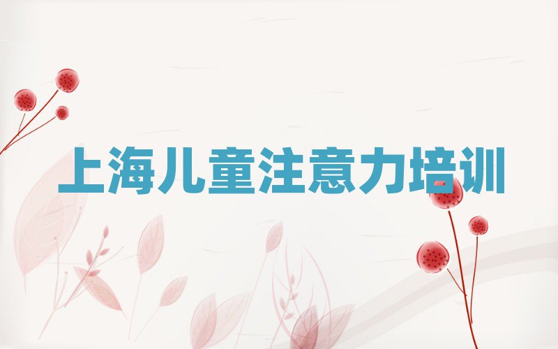2025年上海少兒專注力提高培訓(xùn)班實(shí)力排名名單