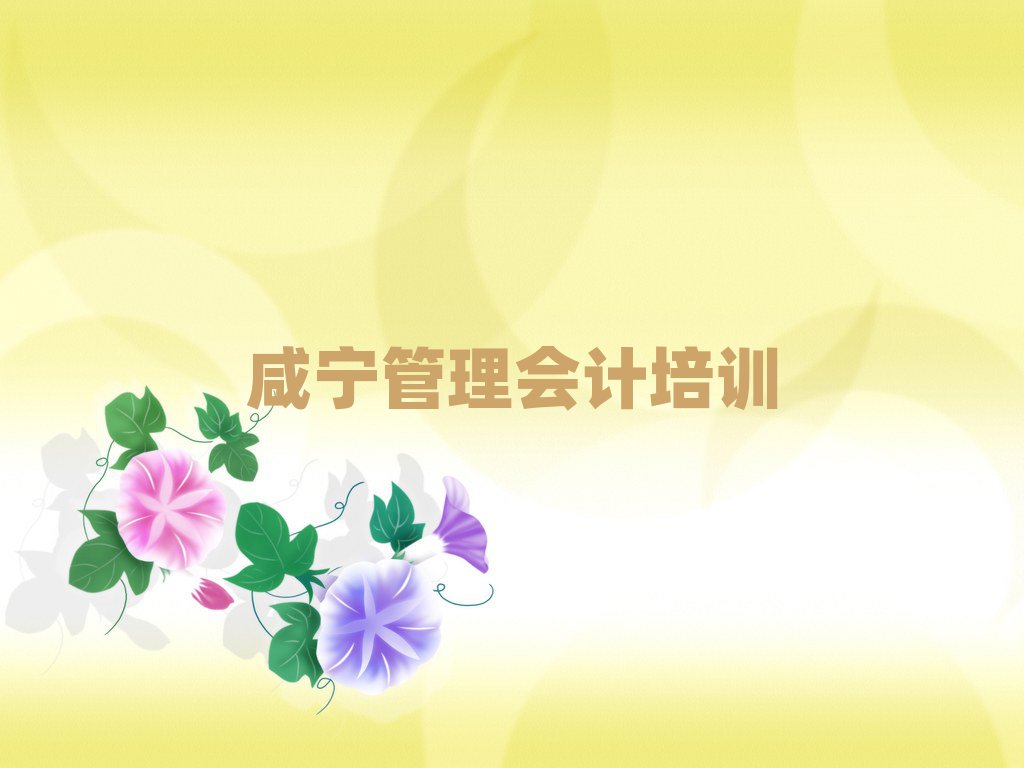 2025年咸寧咸安區(qū)管理會計口碑比較好的管理會計教育機構(gòu)