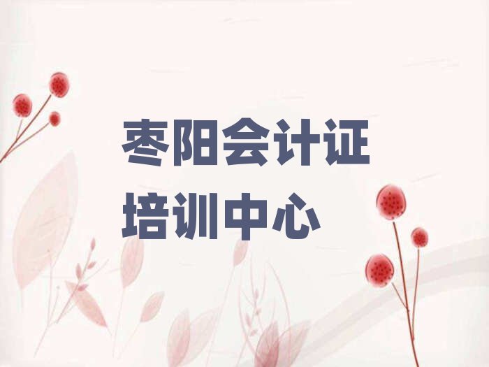 2025年棗陽(yáng)會(huì)計(jì)證培訓(xùn)班費(fèi)用標(biāo)準(zhǔn)是多少錢一個(gè)月