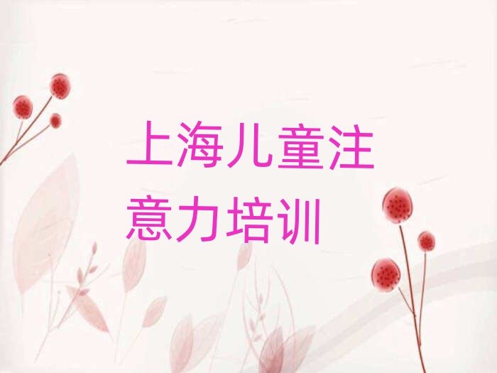 2025年上海青浦區(qū)的權威少兒專注力提高機構推薦排名前五