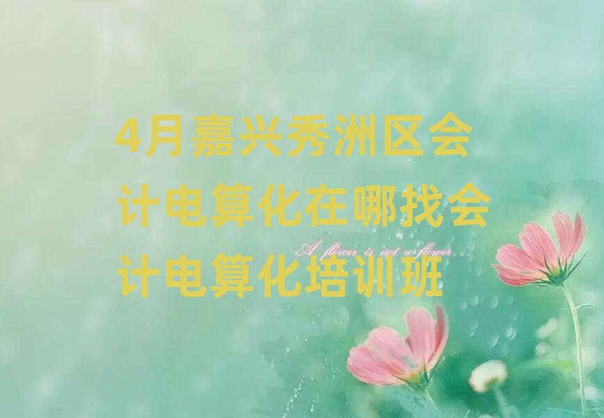 4月嘉興秀洲區(qū)會計電算化在哪找會計電算化培訓(xùn)班