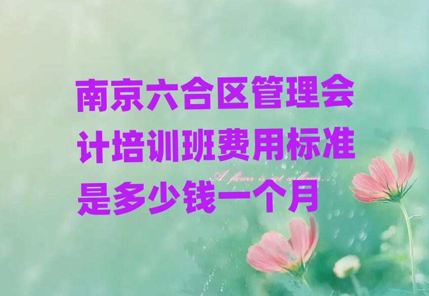 南京六合區(qū)管理會計培訓班費用標準是多少錢一個月