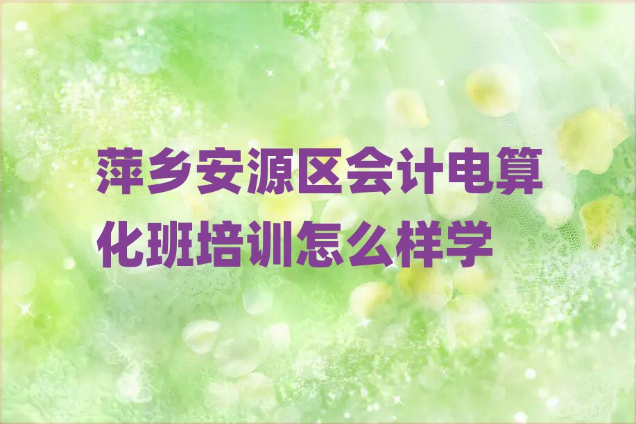 萍鄉(xiāng)安源區(qū)會計(jì)電算化班培訓(xùn)怎么樣學(xué)