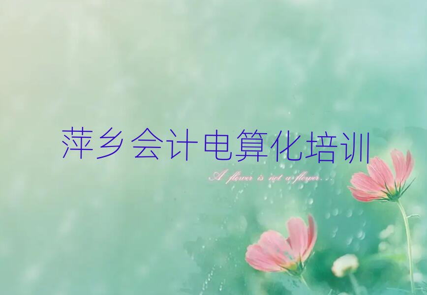 萍鄉(xiāng)安源區(qū)會計(jì)電算化班培訓(xùn)怎么樣學(xué)