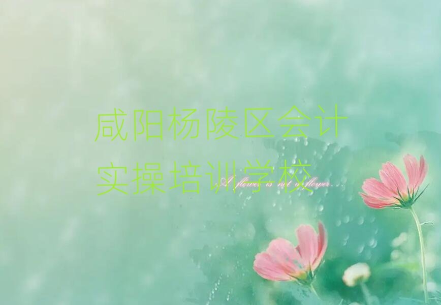 咸陽楊陵區(qū)會計實操在哪里可以找會計實操培訓(xùn)班
