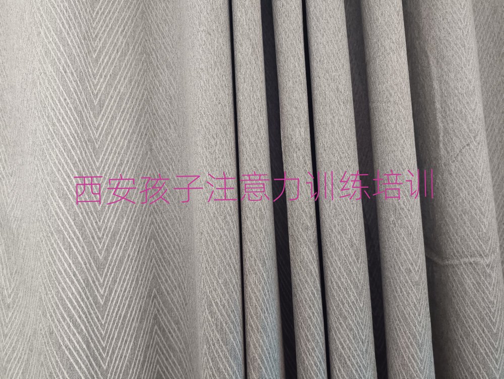 2025年西安長安區(qū)孩子注意力訓練老師好的培訓班推薦實力排名名單