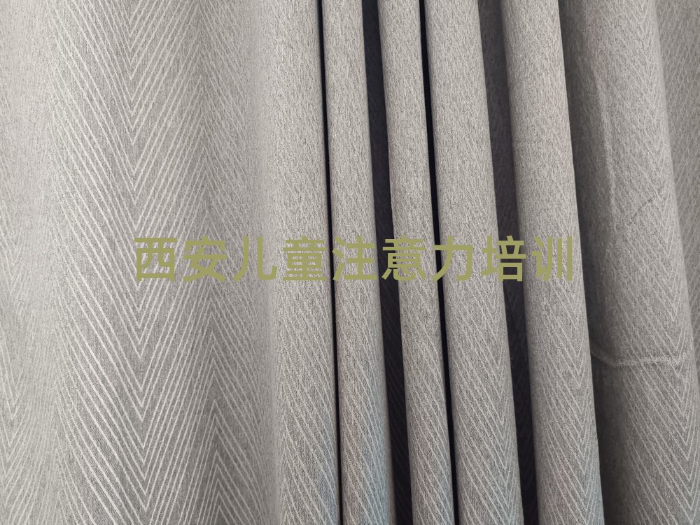 2025年西安長安區(qū)孩子注意力訓練老師好的培訓班推薦實力排名名單