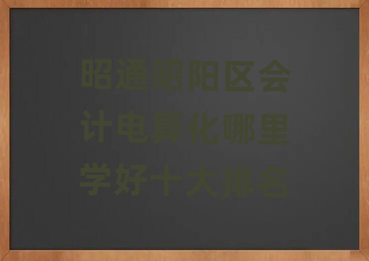 昭通昭陽(yáng)區(qū)會(huì)計(jì)電算化哪里學(xué)好十大排名