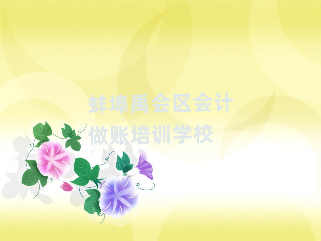 蚌埠禹會(huì)區(qū)會(huì)計(jì)做賬網(wǎng)絡(luò)學(xué)習(xí)班前十名
