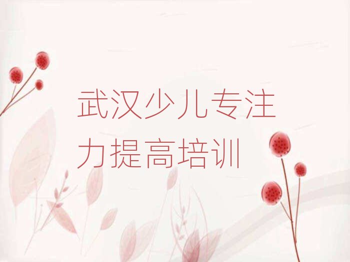 武漢少兒專注力提高培訓值得推薦的名單榜首一覽