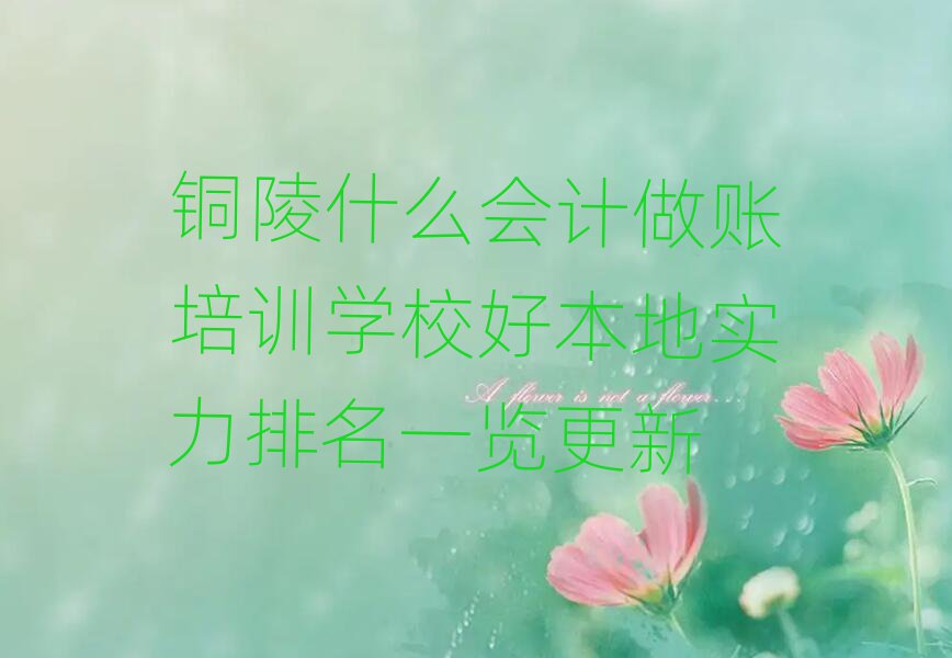 銅陵什么會(huì)計(jì)做賬培訓(xùn)學(xué)校好本地實(shí)力排名一覽更新