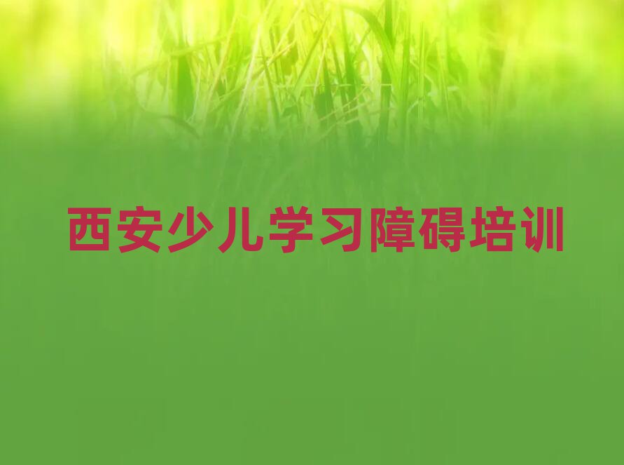 西安未央?yún)^(qū)少兒學習障礙培訓班怎么選擇課程