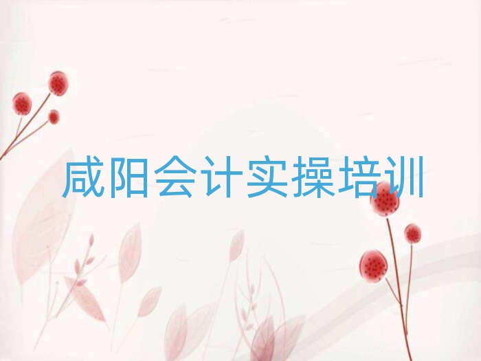 咸陽楊陵區(qū)學(xué)會(huì)計(jì)實(shí)操哪家好名單榜首精選出爐