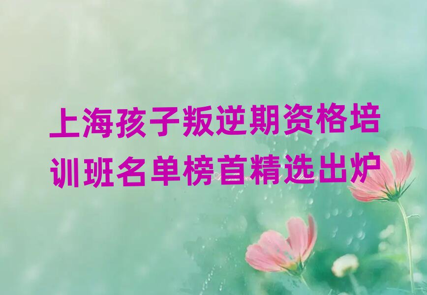 上海孩子叛逆期資格培訓(xùn)班名單榜首精選出爐
