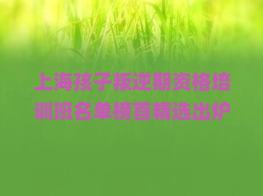 上海孩子叛逆期資格培訓(xùn)班名單榜首精選出爐