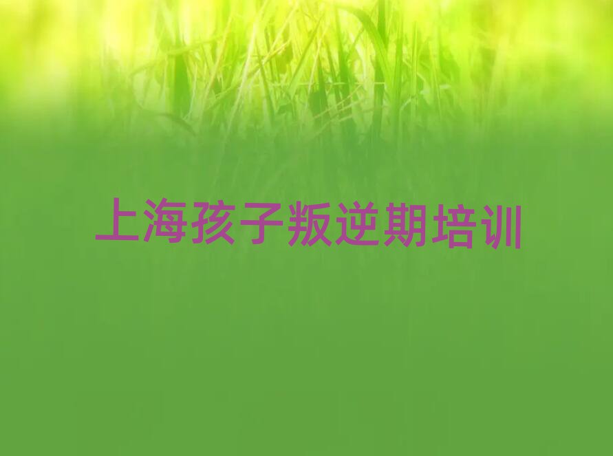 上海孩子叛逆期資格培訓(xùn)班名單榜首精選出爐